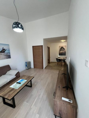 Apartment Bracovic - city center 2
